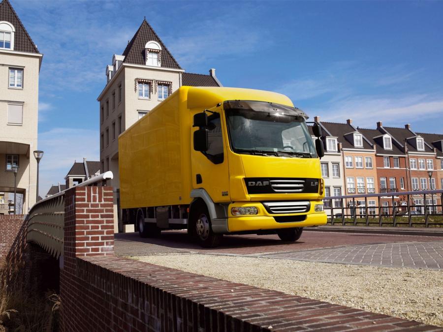  DAF LF45 4x2 FA Day Cab 2006 года  (фото 10 из 10)